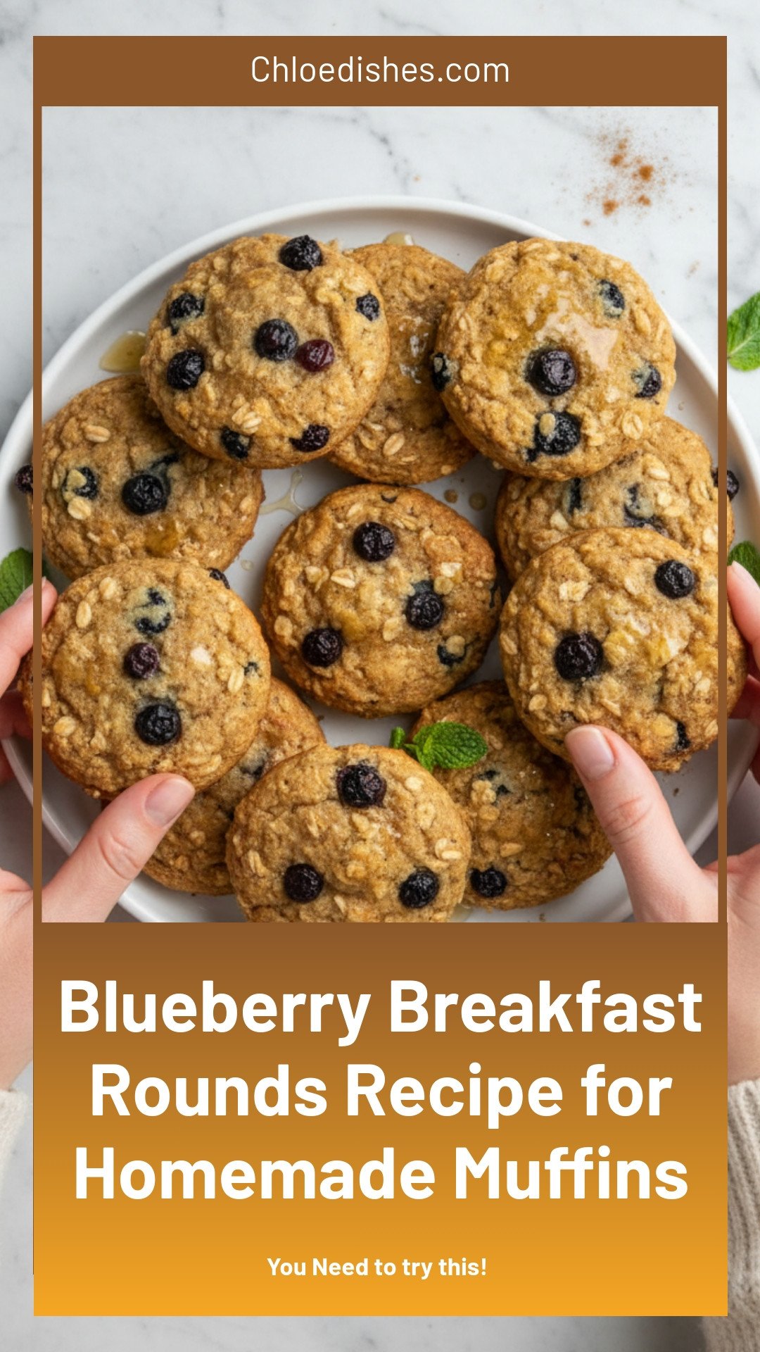 Blueberry Breakfast Rounds Recipe