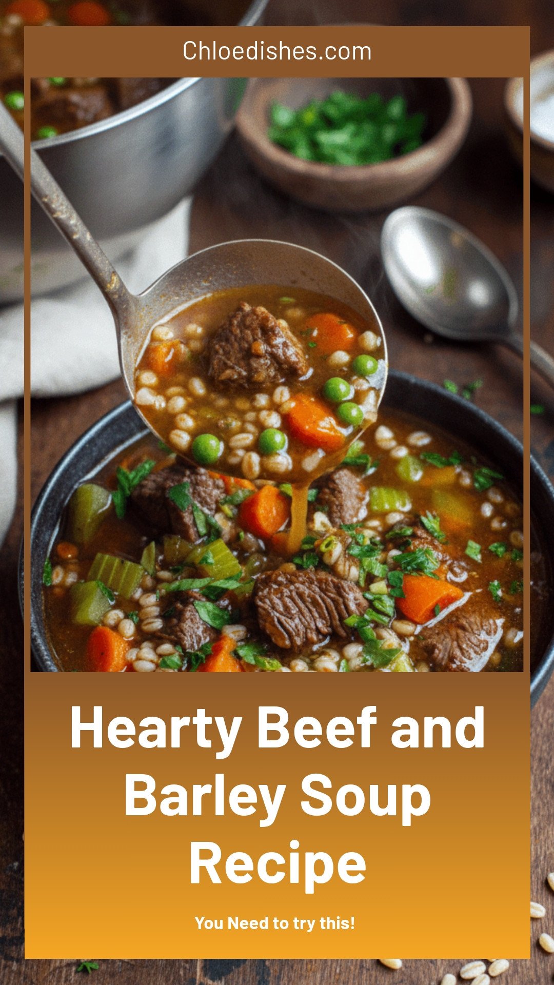 Beef and Barley Soup Recipe