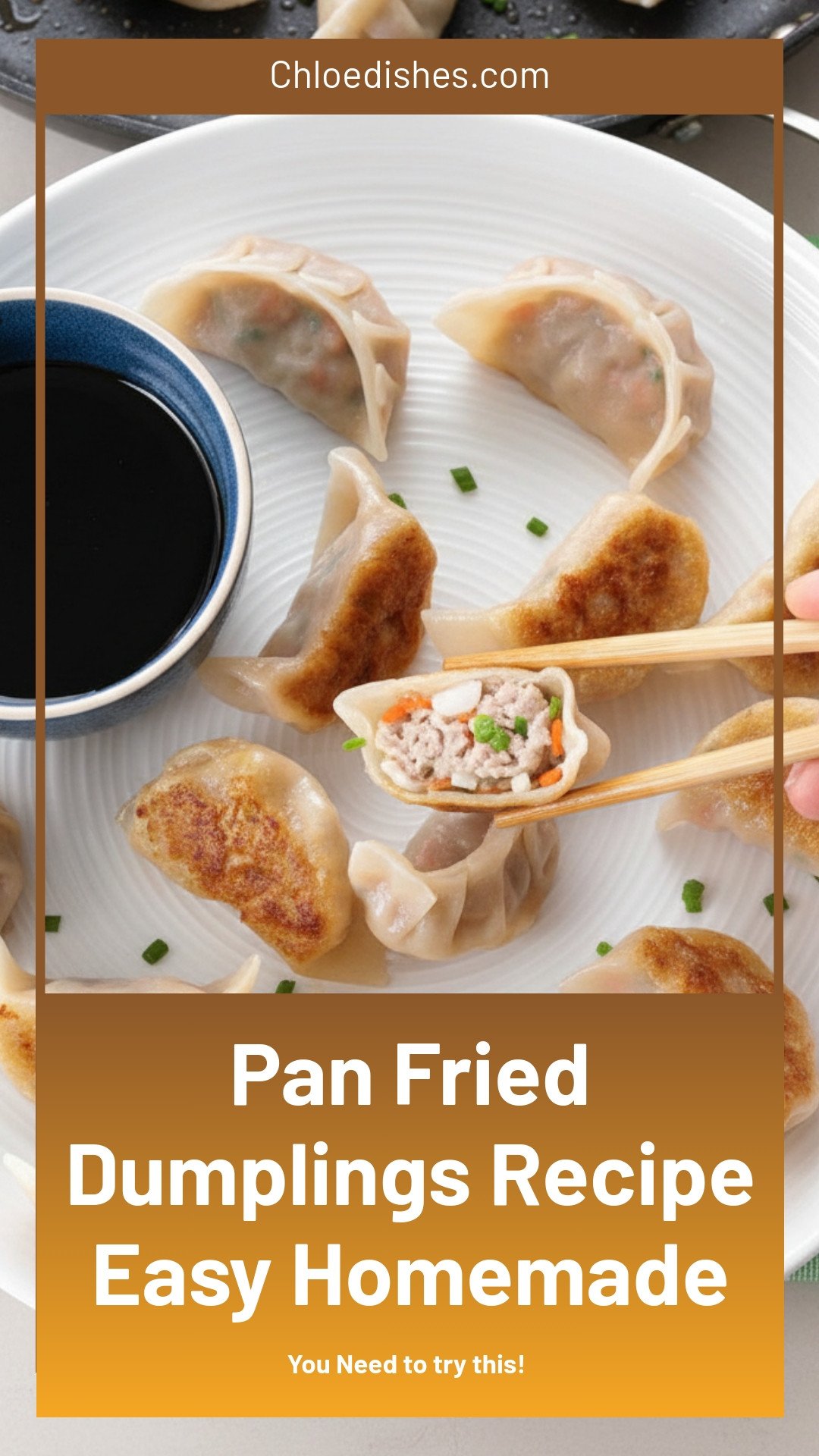 How to Make Pan-Fried Dumplings
