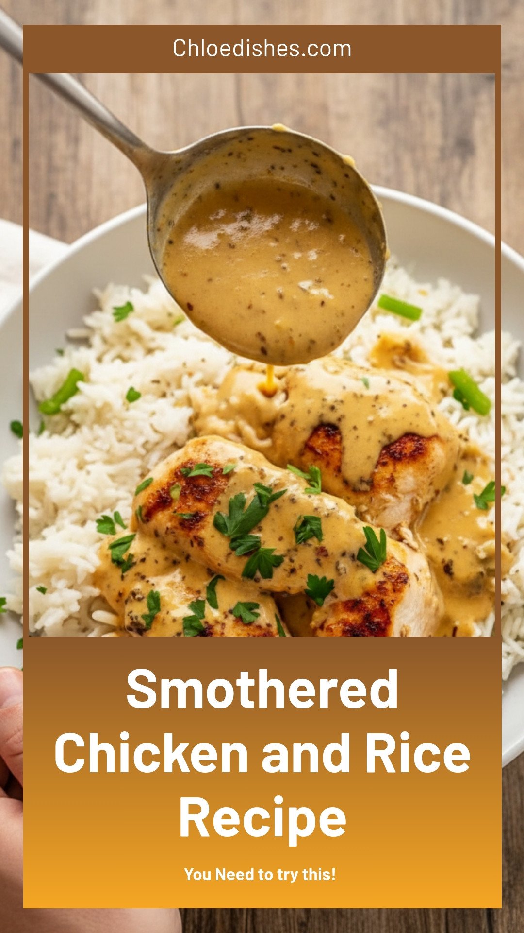 Smothered chicken and rice