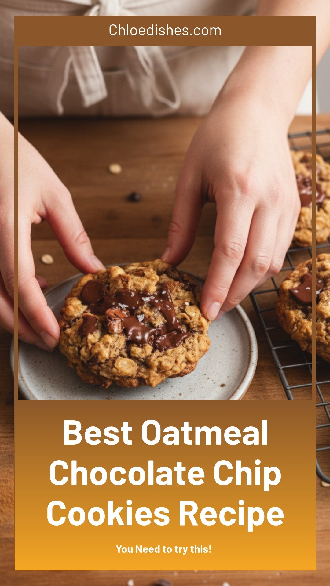 BEST Oatmeal Chocolate Chip Cookies