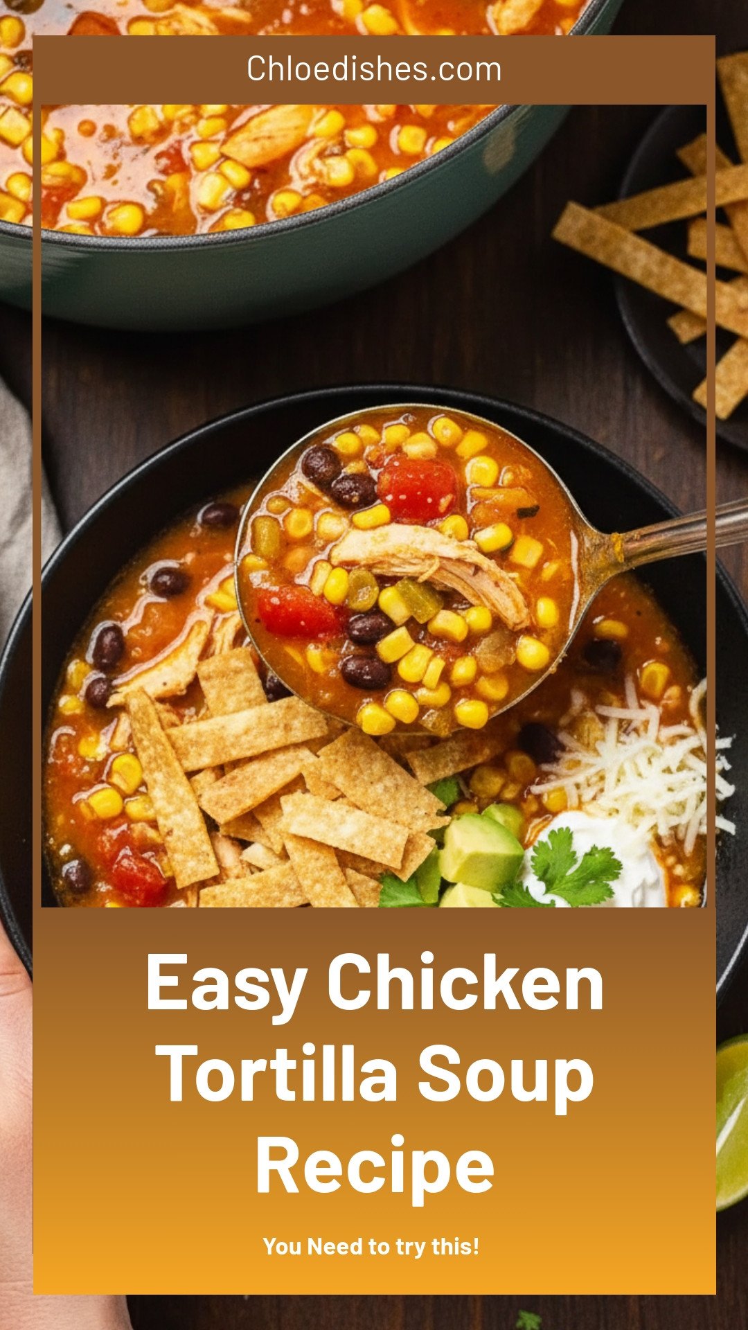 Chicken Tortilla Soup Recipe