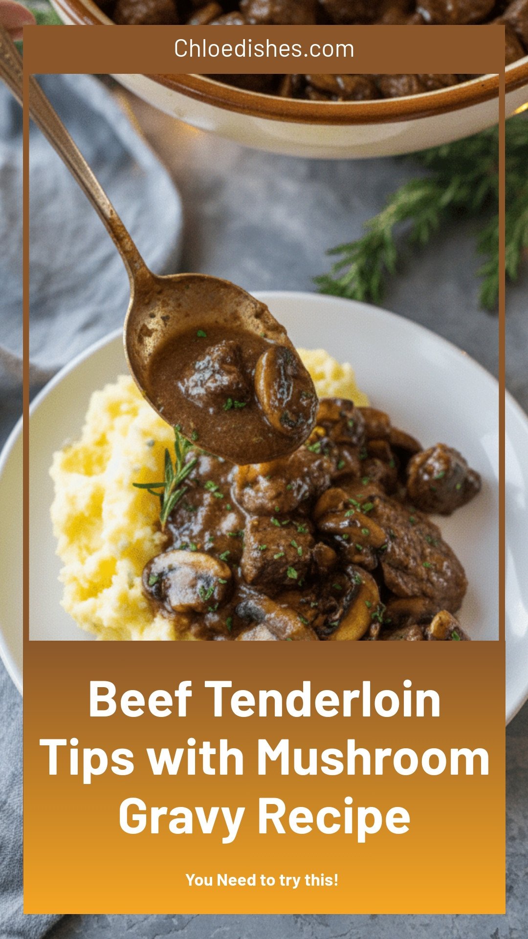 Beef Tenderloin Tips in Mushroom Gravy Recipe