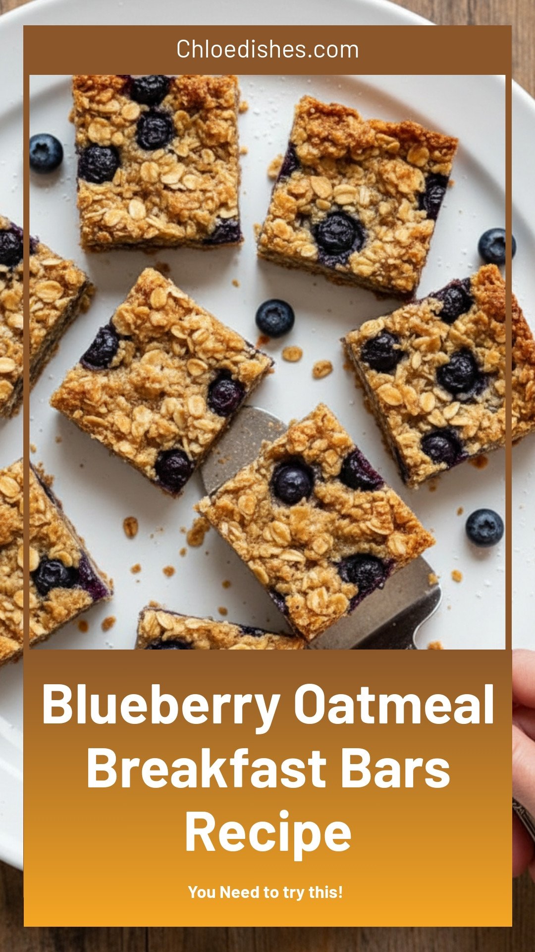 Blueberry Oatmeal Breakfast Bars Recipe