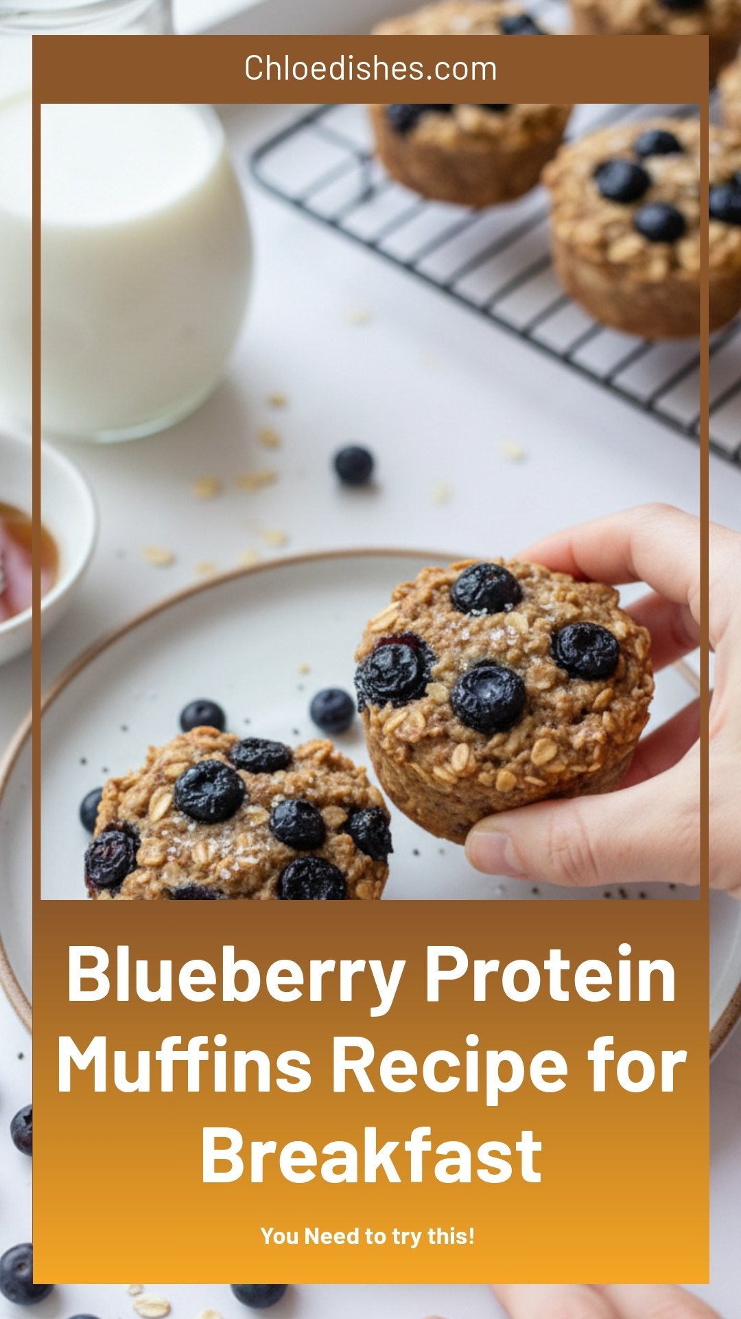 Blueberry Protein Muffins