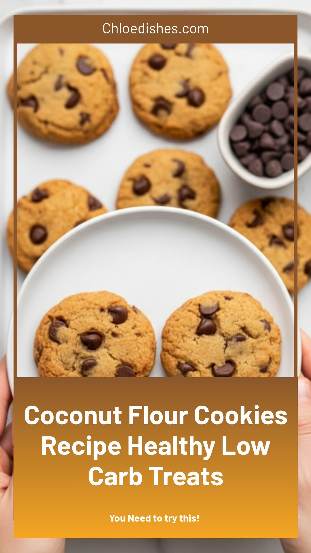 Coconut Flour Cookies