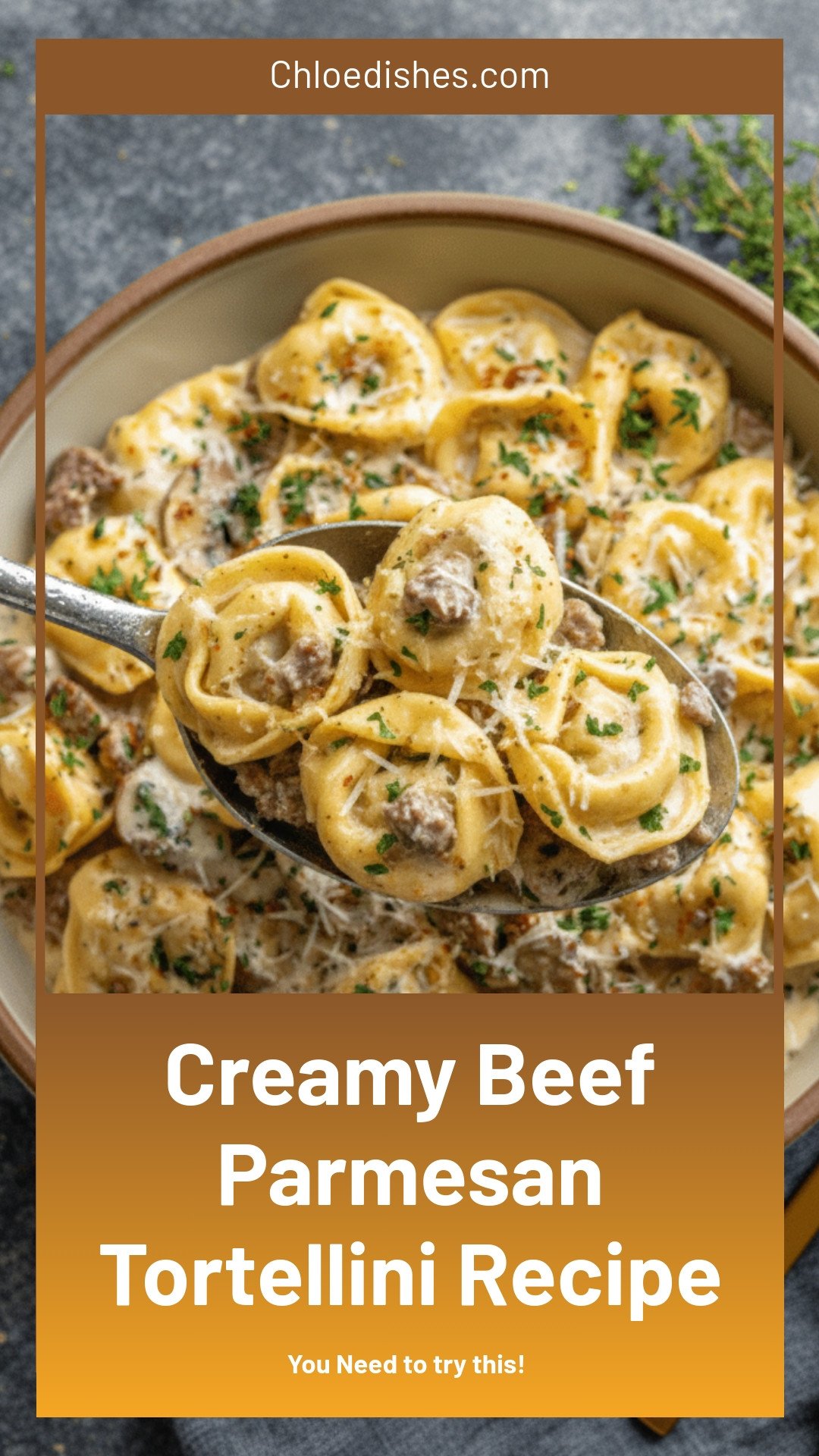 Beef & Parmesan Tortellini in Creamy Sauce Recipe