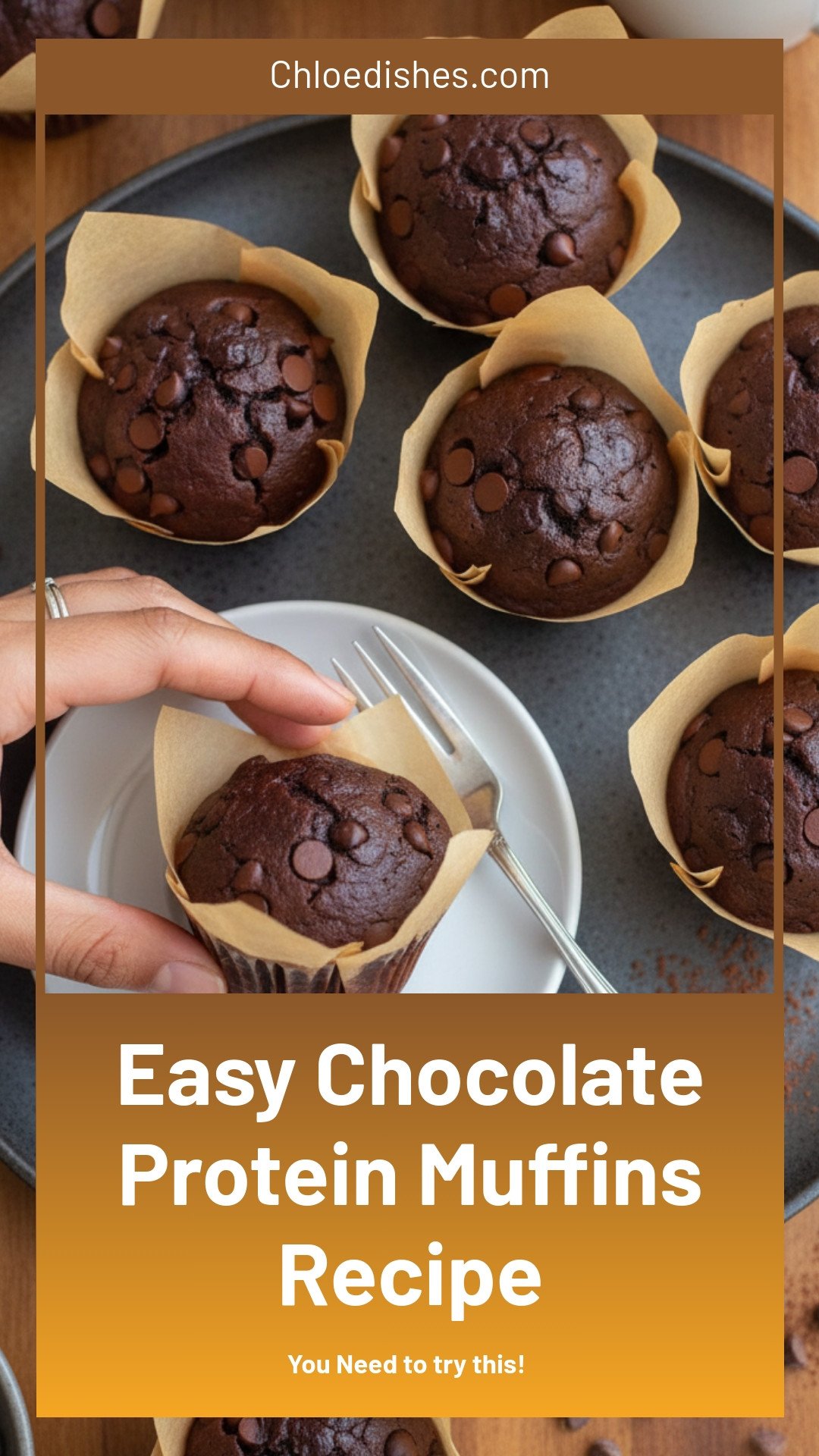 Chocolate Protein Muffins