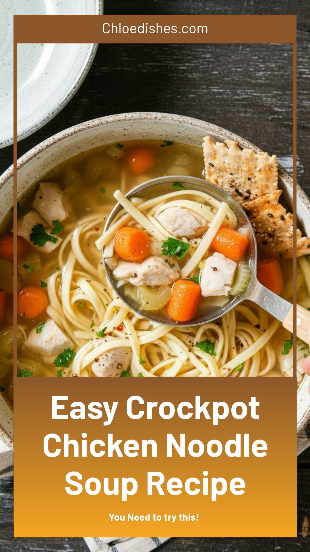 Crockpot Chicken Noodle Soup