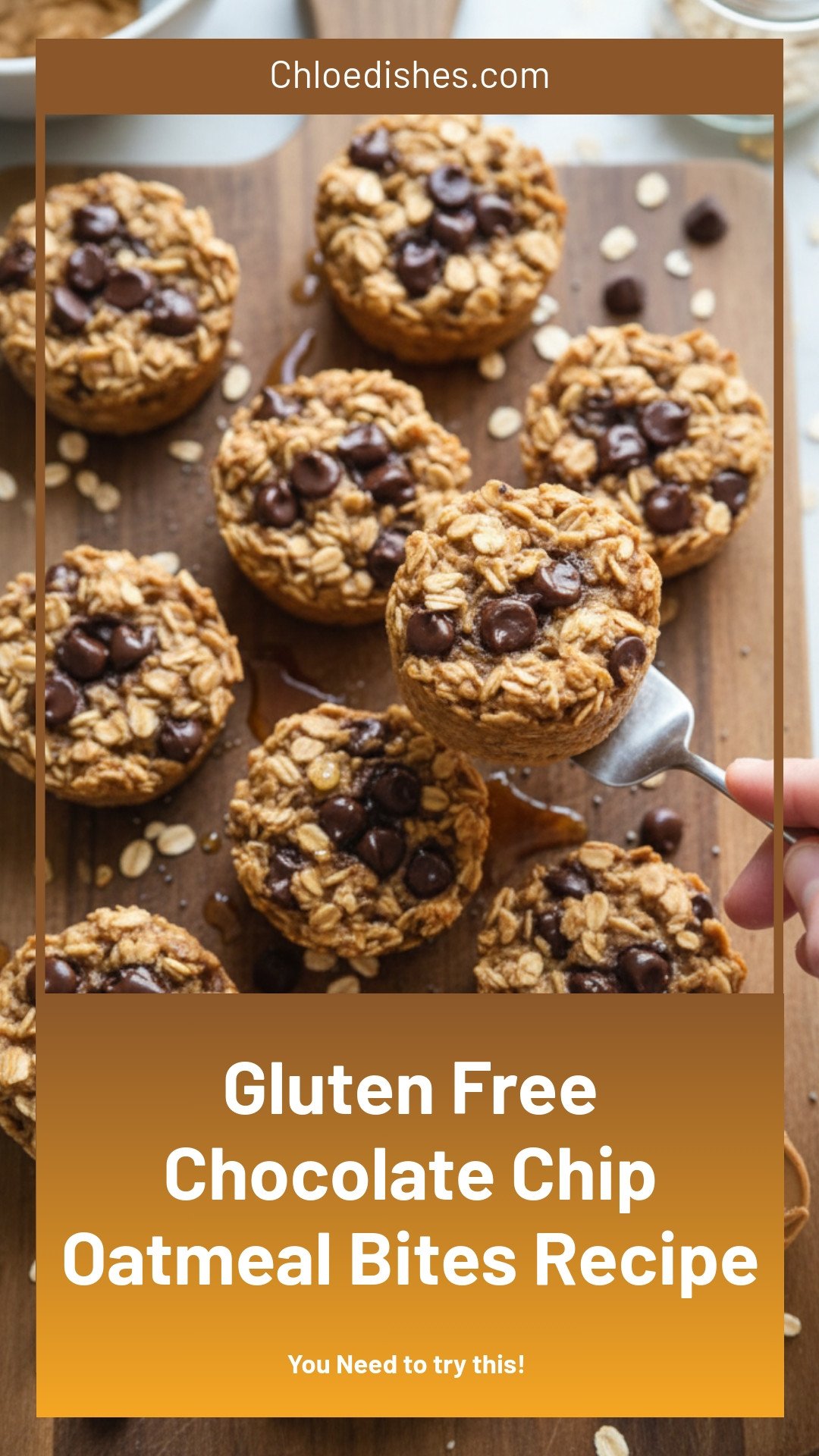 Gluten Free Chocolate Chip Oatmeal Bites