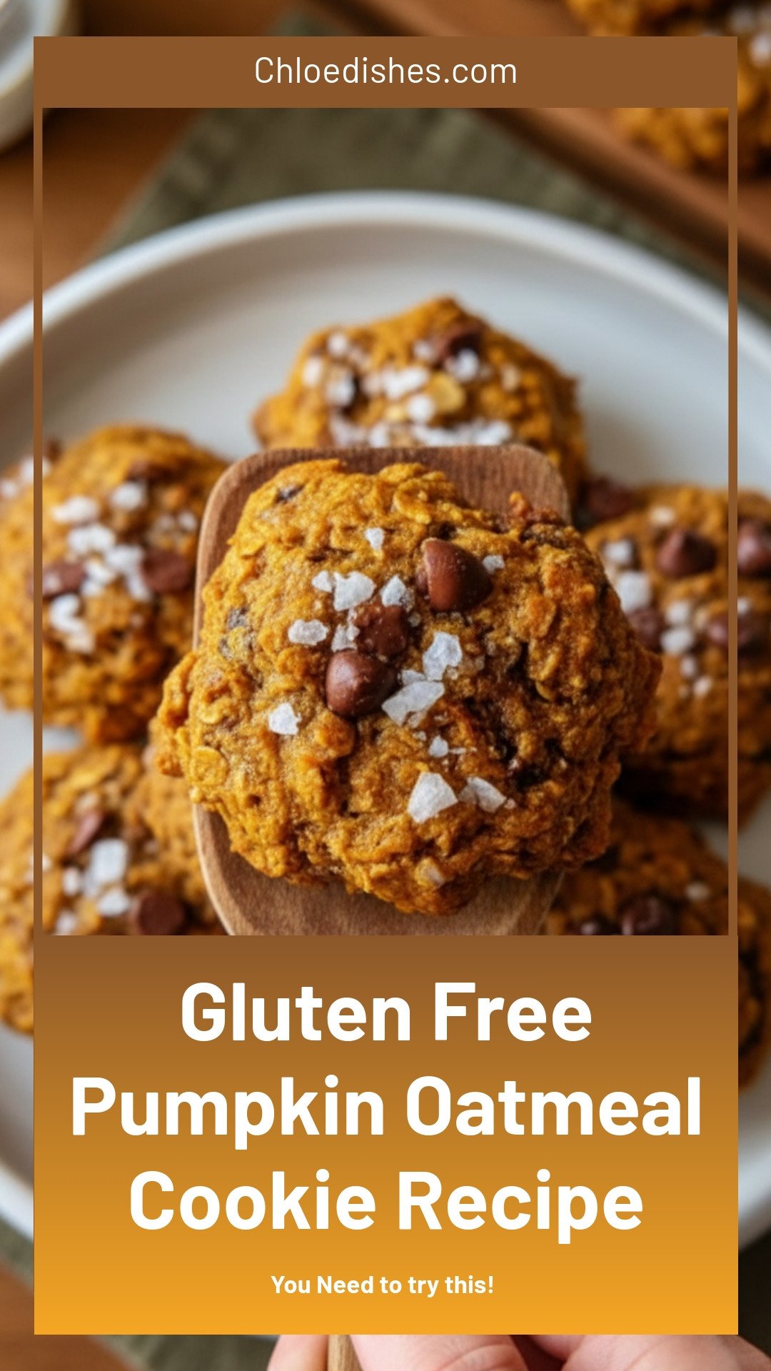 Gluten Free Pumpkin Oatmeal Cookies