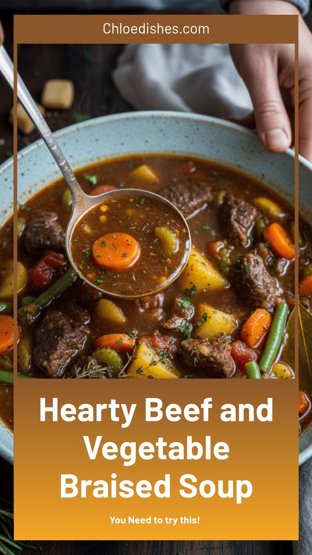 Braised Vegetable Beef Soup Recipe