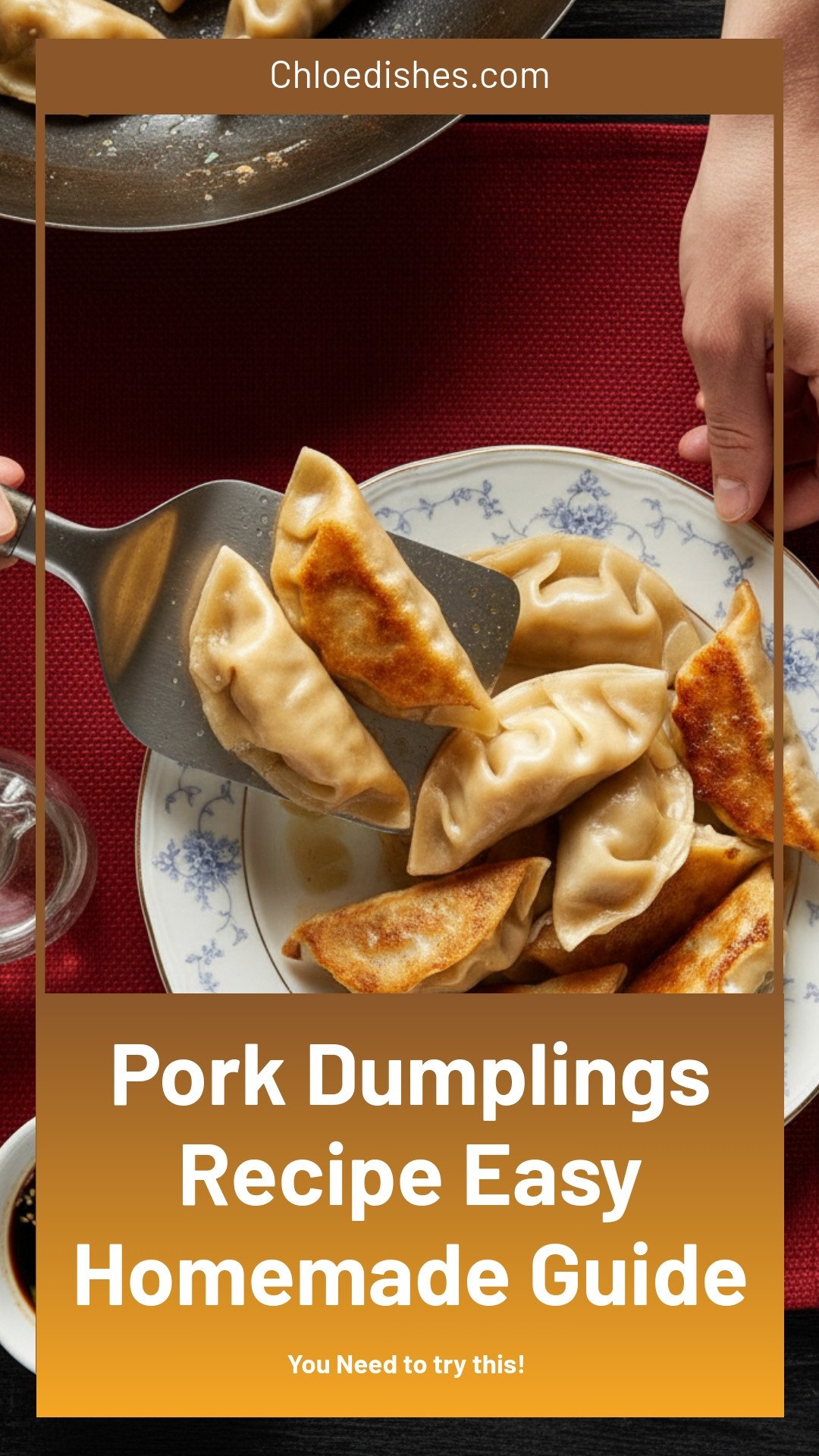 Pork Dumplings
