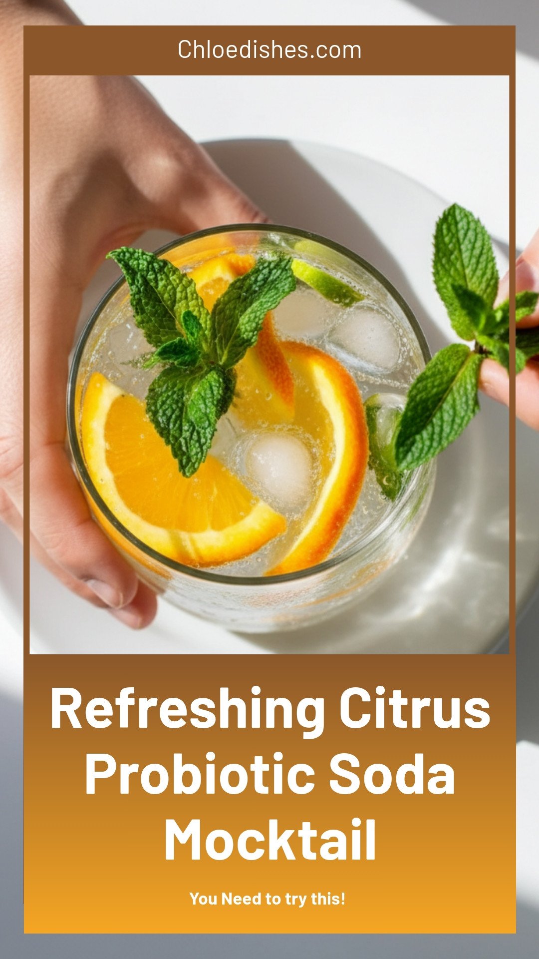Probiotic Soda Citrus Mocktail