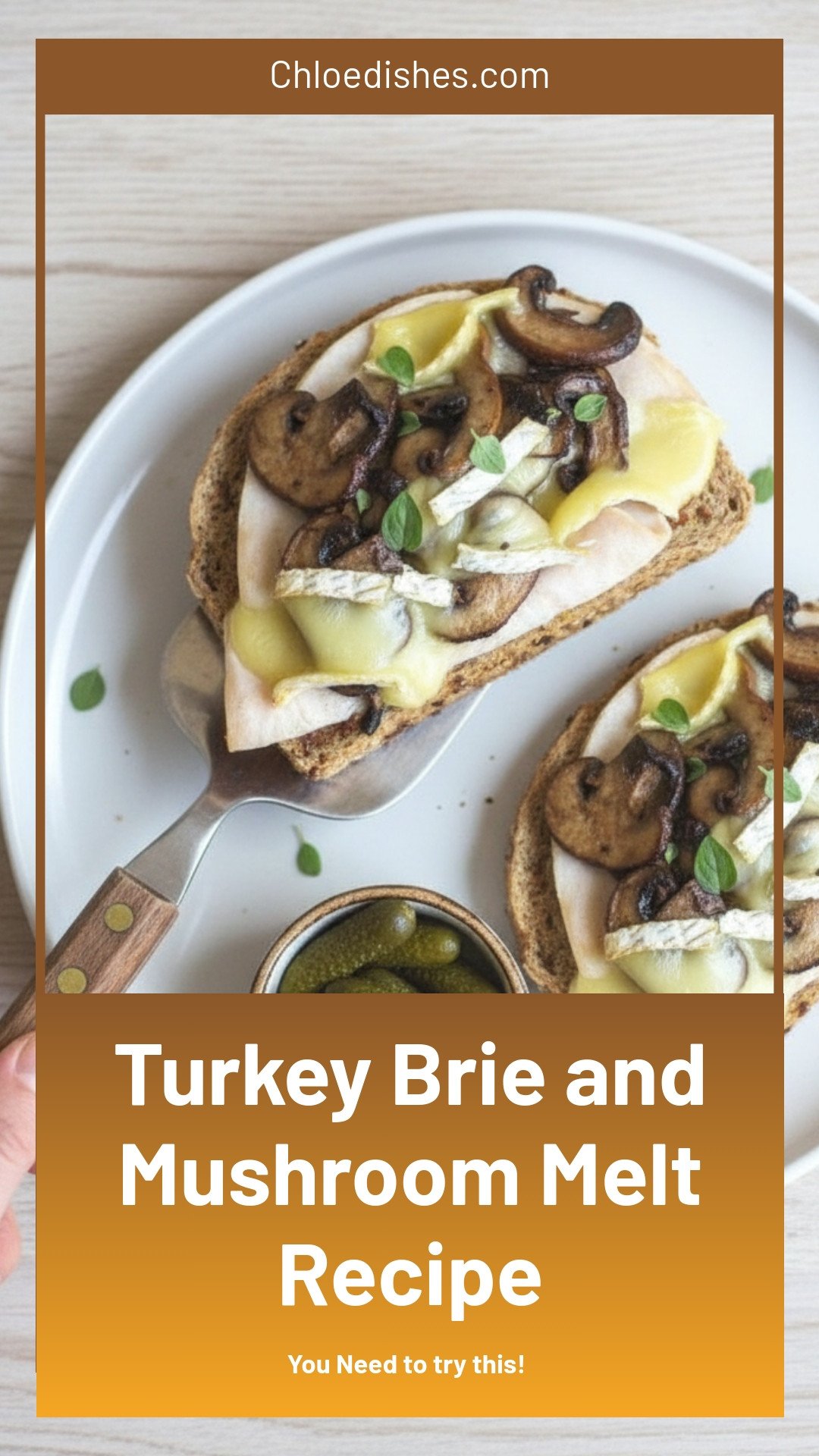 Turkey, Brie, and Mushroom Melt | Caroline Chambers