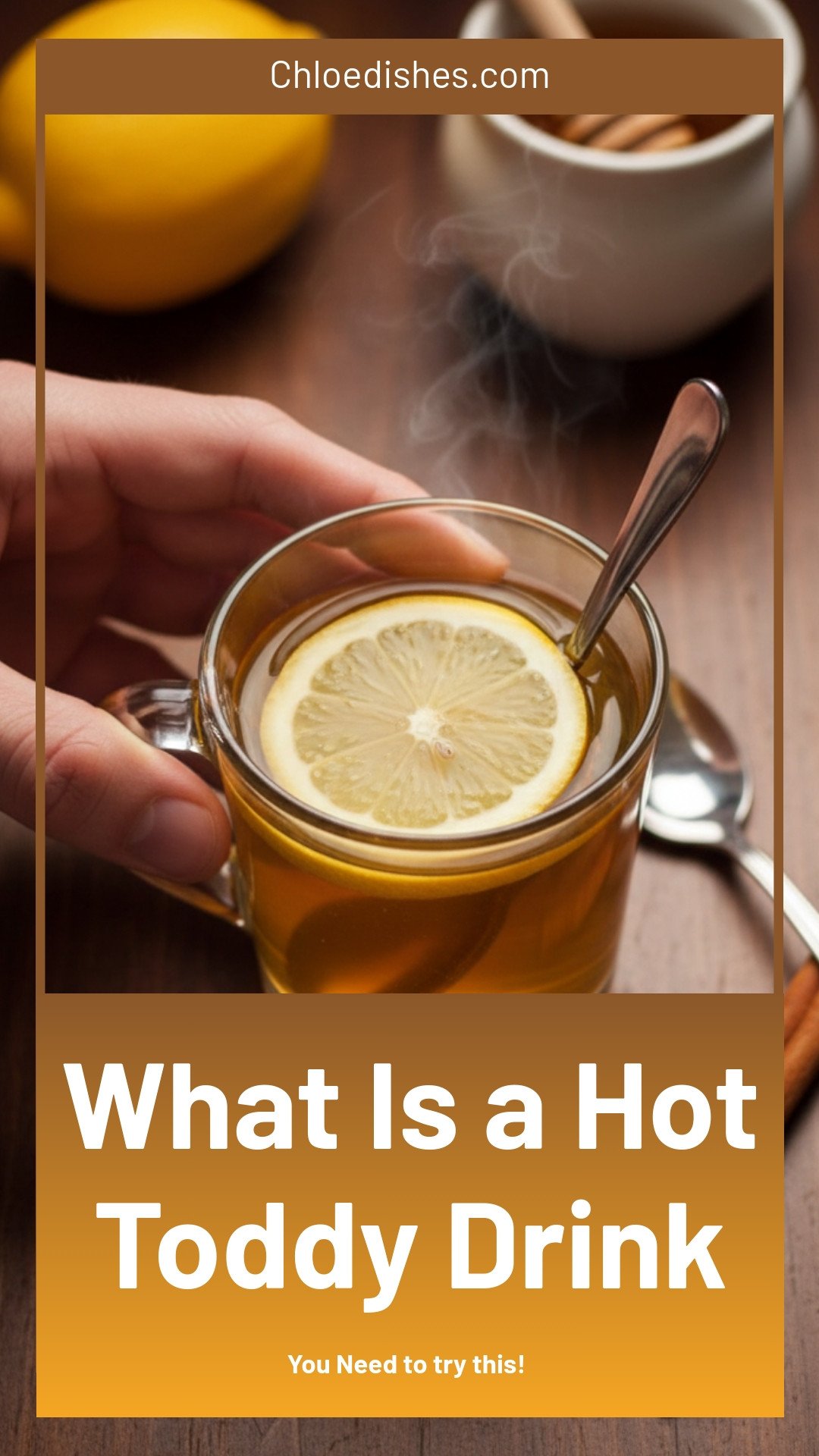 What is a Hot Toddy, Anyway?
